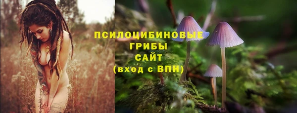 spice Заволжск